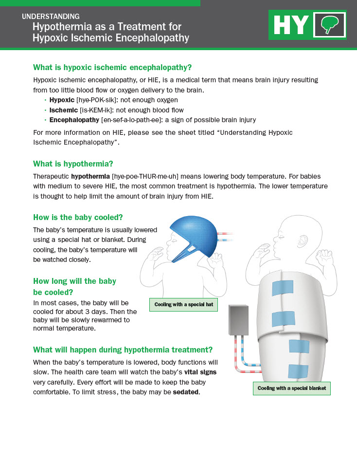 Understanding Hypothermia as a Treatment for Hypoxic ...